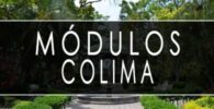 Módulos del INE en Colima – Direcciones, teléfonos y horarios ✍ 1